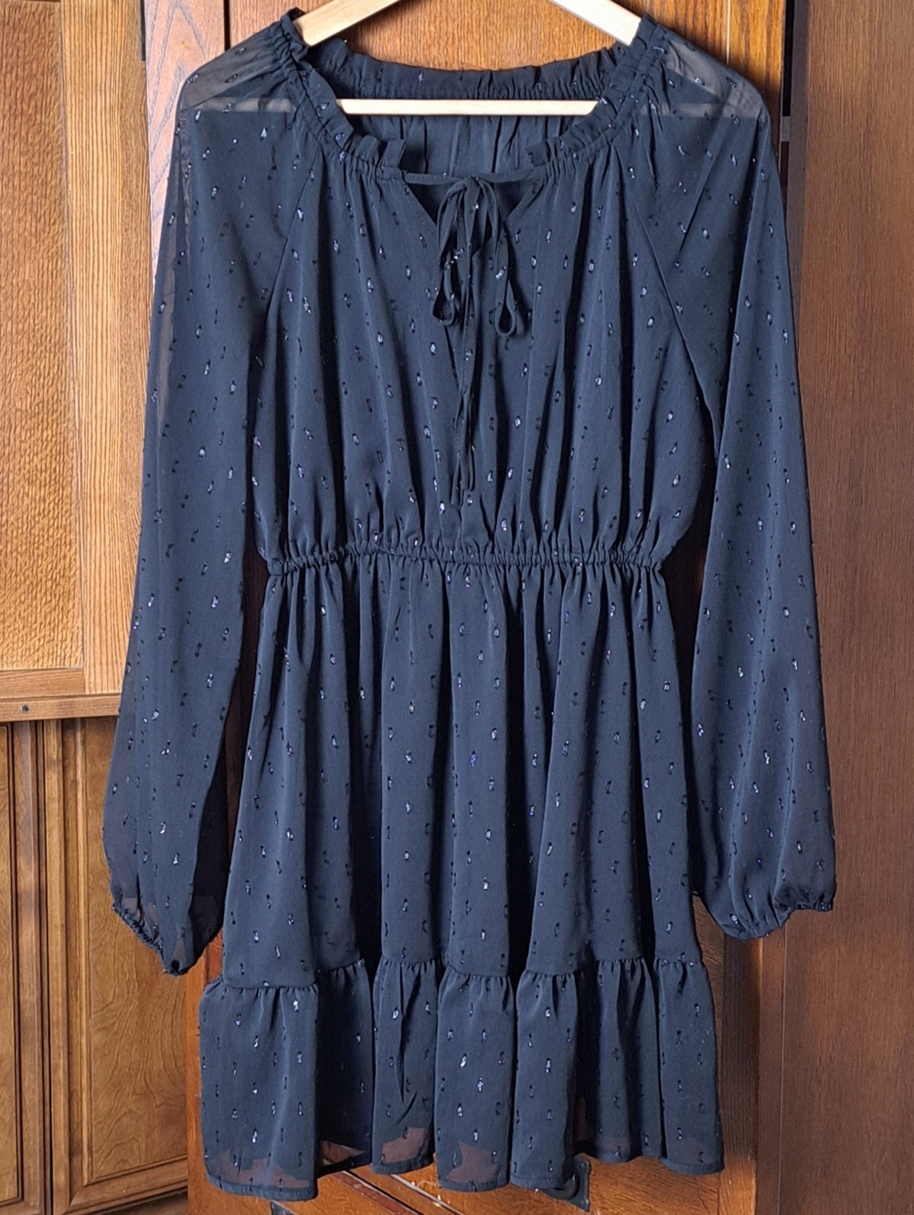 Black Shimmer Swiss Dot V Neck Tie Sheer Sleeve Flowy Mini Dress